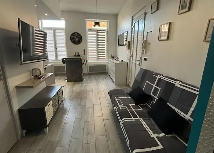 Le Bleuet, 4p Fully Equipped * Arras